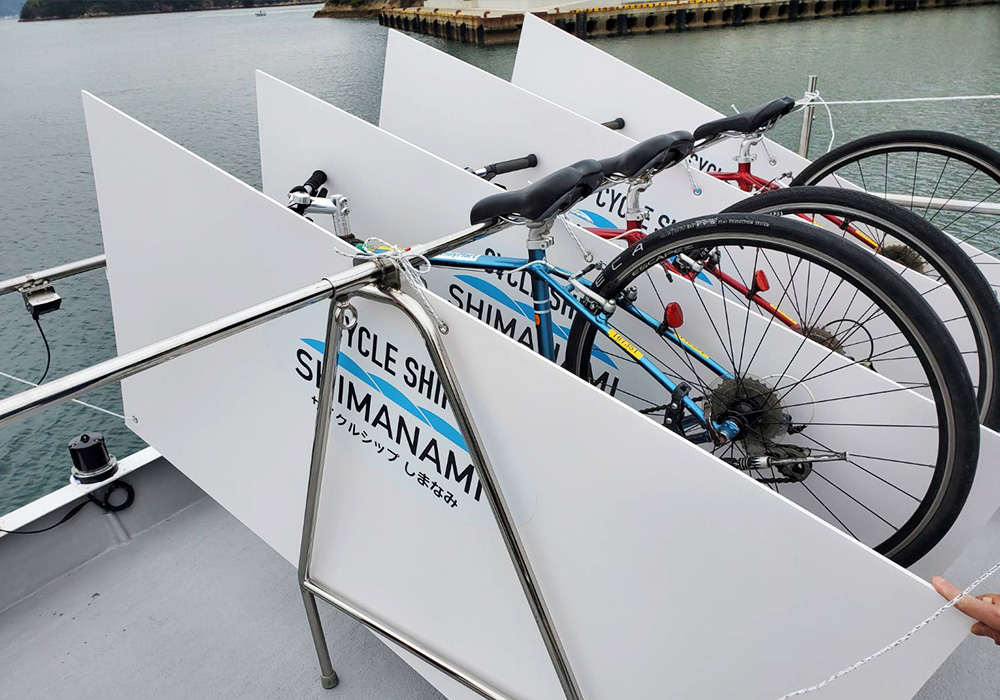 Removable cycle stand