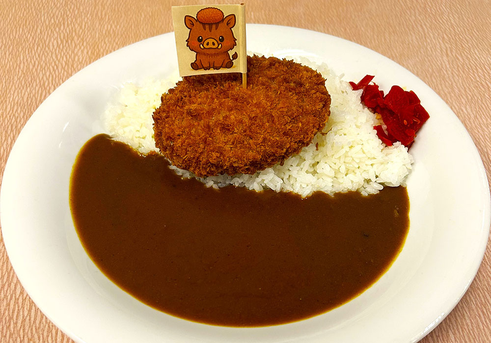 Wild boar curry